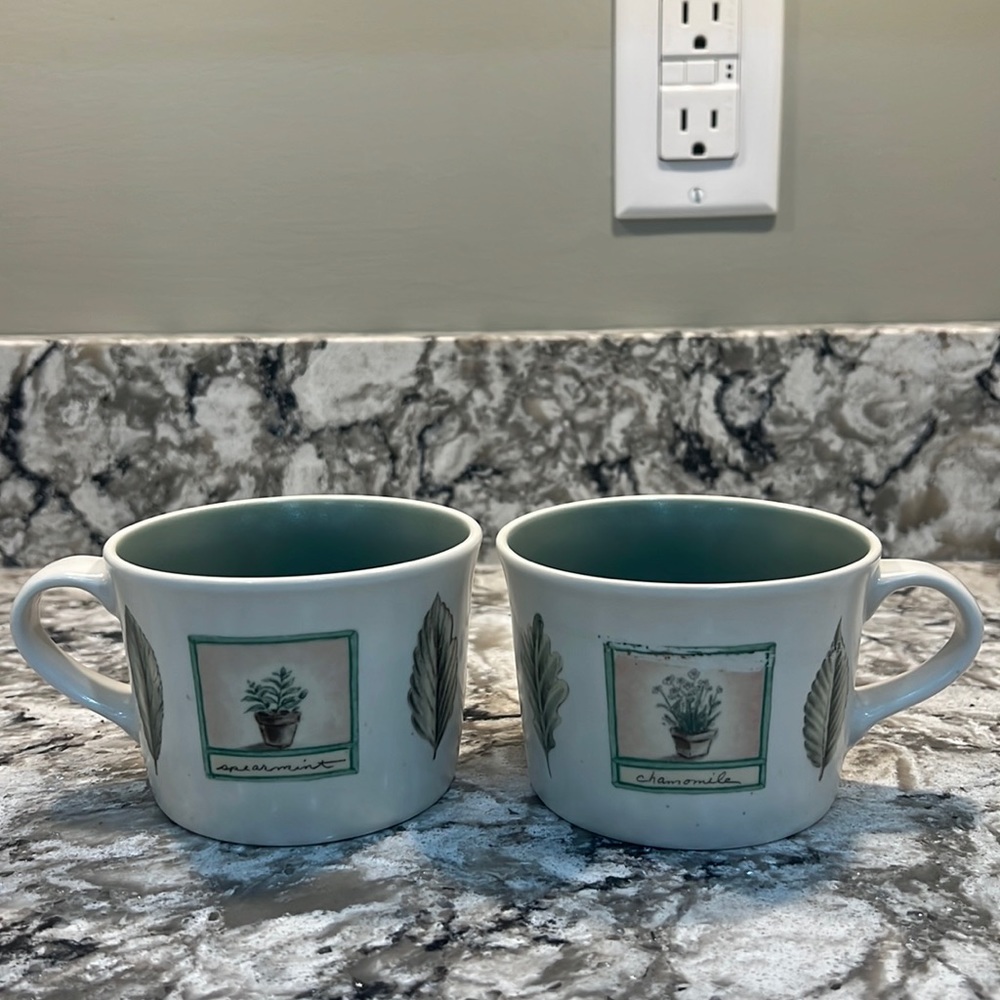 Pfaltzgraff Naturewood Mug Set of 2 Cottagecore coastal grandma